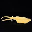 Thumbnail 2 de lilizzhoumax Nectocaris Pteryx plush 43 cm 🧸