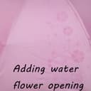 Thumbnail 5 de Maibar Sun Umbrella Mini folding parasol ☂️