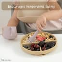 Thumbnail 3 de Moonkie Silicone Divided Weaning Plate 2-pack 🍽️