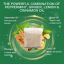 Thumbnail 4 de Mouse & Rat Repellent 6 pack 🐭