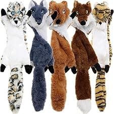 Newthinking No Stuffing Dog Toys 5-pack plush toys 🐶