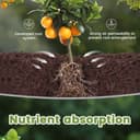 Thumbnail 5 de OFFCUP Plant Grow Bags 7 Gallon, 5 Pack 🪴