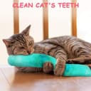 Thumbnail 5 de OSDUE Cat Catnip Toys 3-pack kitten pillows 🐱