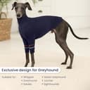 Thumbnail 4 de OUOBOB Greyhound Dog Sweater turtleneck S 🐶