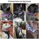 Thumbnail 1 de Petiry Reflective Nylon Dog Collar and Lead Set 120 cm 🐶