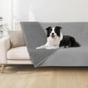 Thumbnail principal de PICK FOR LIFE Waterproof Dog Blanket 97×190 cm 🐶