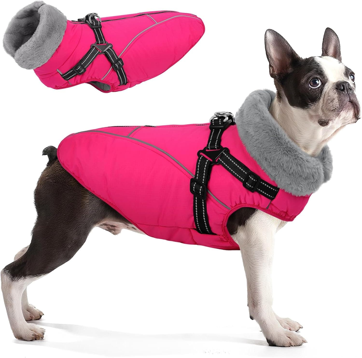 Queenmore Waterproof Dog Coat L with Harness 🐶