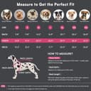 Thumbnail 2 de Queenmore Waterproof Dog Coat L with Harness 🐶