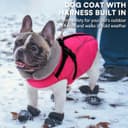 Thumbnail 3 de Queenmore Waterproof Dog Coat L with Harness 🐶