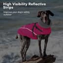 Thumbnail 4 de Queenmore Waterproof Dog Coat L with Harness 🐶