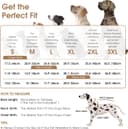 Thumbnail 3 de Queenmore Waterproof Dog Coat with Harness L 🐶