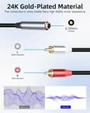 Thumbnail 2 de RIIEYOCA 6.35mm to dual RCA audio cable 1.8m 🎧