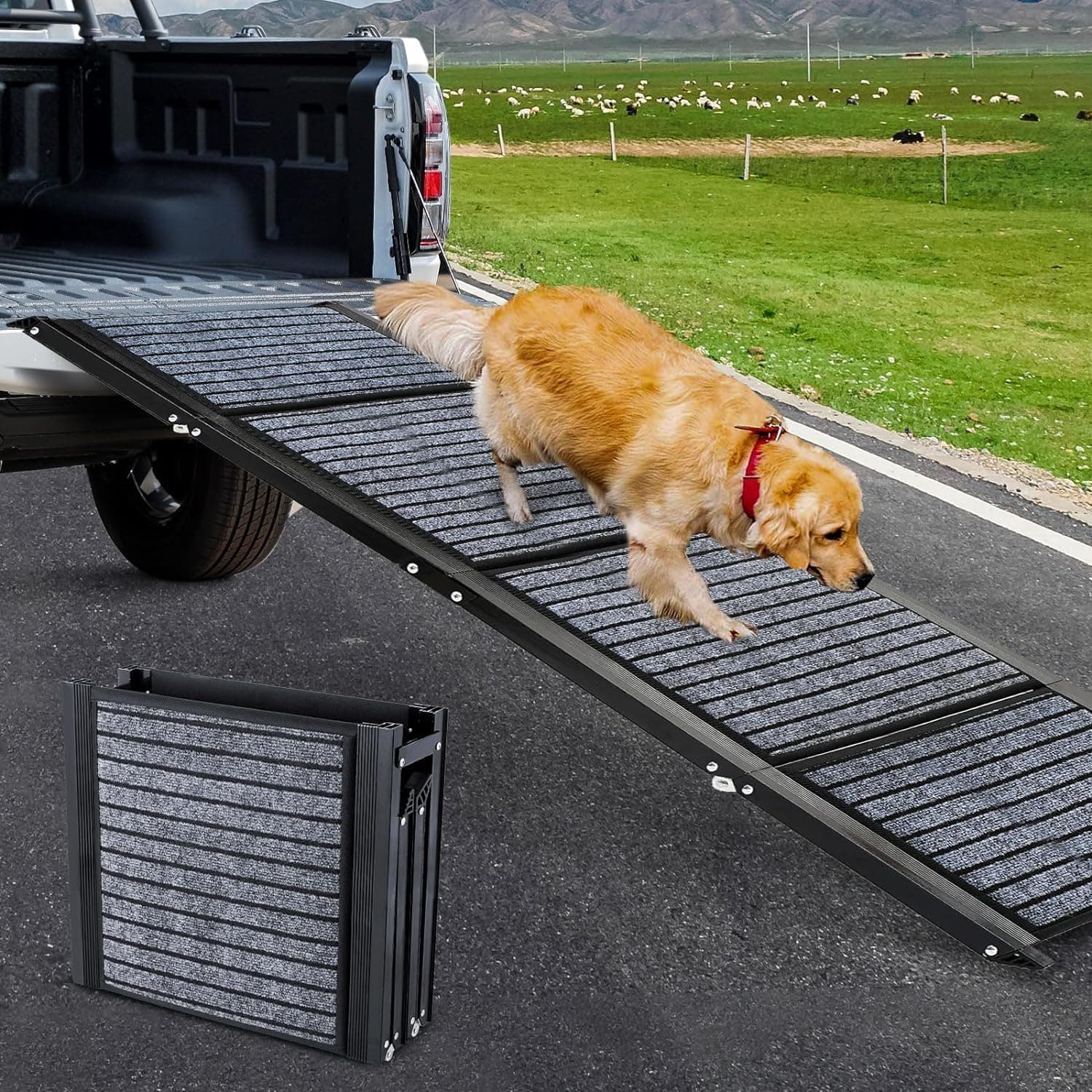 Snagle Paw Longest 180cm dog ramp for large dogs 🐶