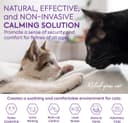 Thumbnail 1 de TopSum Cat Calming Plug-in 2-pack diffuser 🐱