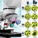 Thumbnail 2 de Trinocular Microscope 200X–5000X for Lab Teaching 📷