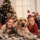 Thumbnail 4 de Umiin Christmas Headbands Glitter holiday hairbands 🎀