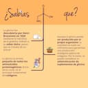 Thumbnail 3 de Vegavero Pure Glycine Powder 1 kg – glycine supplement 🍽️