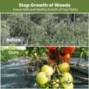 Thumbnail 5 de Velway Weed Control Membrane 1x10m landscape fabric 🌱