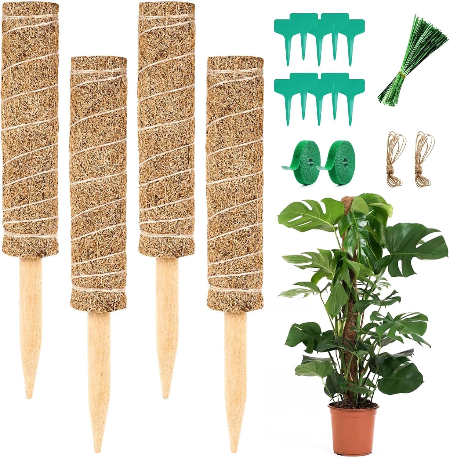 Vicloon Moss Pole 30cm Pack of 4 ⌚️