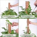 Thumbnail 5 de Vicloon Moss Pole 30cm Pack of 4 ⌚️