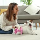 Thumbnail 6 de Washable Reusable Nappies 3-Pack Dog Diapers 🐶