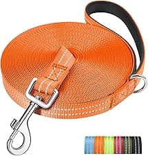 X XBEN Long Line Dog Lead 25m — recall leash 🐶