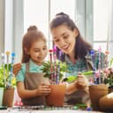 Thumbnail 6 de AIPRIDY 238-Piece Fairy Wand Garden Stakes Kit 🌼