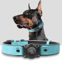 Thumbnail principal de AirTag Dog Collar Leather with AirTag Holder 🐶