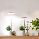 Thumbnail principal de Bamboo Mini LED Grow Light 3‑mode 🌱