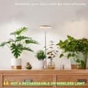 Thumbnail 3 de Bamboo Mini LED Grow Light 3‑mode 🌱