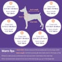 Thumbnail 3 de Bess Bridal Dog Life Jacket XS — Shark vest for swimming 🐶