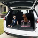 Thumbnail 4 de GAPZER Pet Carrier for Large Cats 🐱