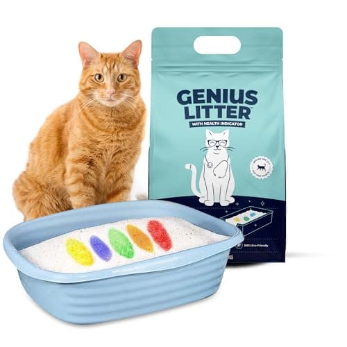 Genius Litter Health Indicating Cat Litter 6 lb 🐱