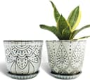 Thumbnail principal de Gepege 6 Inch Beaded Ceramic Planter Set (2) 🪴