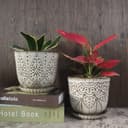 Thumbnail 5 de Gepege 6 Inch Beaded Ceramic Planter Set (2) 🪴
