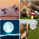 Thumbnail 5 de Gosky Flagship DiamondEdge 20-60x80 spotting scope 📷