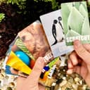 Thumbnail 3 de Hapinest Find and Seek Scavenger Hunt Game for Kids 🎲