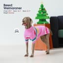 Thumbnail 4 de IECOii XXL Turtleneck Dog Sweater XXL 🐶