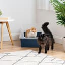 Thumbnail 5 de IRIS USA XX-Large Cat Litter Box 30" Navy 🐱