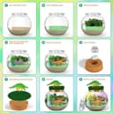 Thumbnail 5 de LAOESE Dinosaur Terrarium Kit for Kids 🦕