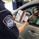 Thumbnail 6 de LumiMokki Premium Car Registration Card Holder 🚗