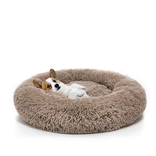 MIXJOY Orthopedic Dog Bed 23" donut 🐶