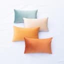 Thumbnail 5 de MONDAY MOOSE 12x20 Velvet Throw Pillow Covers 🛋️