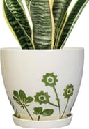 Thumbnail principal de MPotTo 8.2 Inch Ceramic Plant Pot with Saucer 🌿