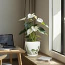 Thumbnail 4 de MPotTo 8.2 Inch Ceramic Plant Pot with Saucer 🌿