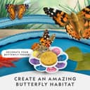 Thumbnail 1 de National Geographic Butterfly Growing Kit with 5 caterpillars 🐛🦋
