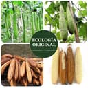 Thumbnail 4 de Natural Loofah Sponge Exfoliating 3-Pack 🧴