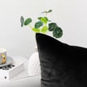 Thumbnail 1 de NiNi ALL Decorative Velvet Throw Pillow Cover 20x20 Black 🛋️