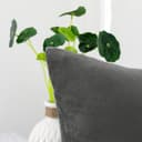 Thumbnail 2 de NiNi ALL Velvet Throw Pillow Covers 20x20 Pack of 2 🛋️