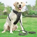 Thumbnail 4 de No Pull Dog Harness Adjustable Reflective 5ft Leash 🐶